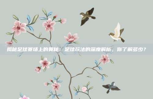揭秘足球赛场上的奥秘：足球玩法的深度解析，你了解多少？