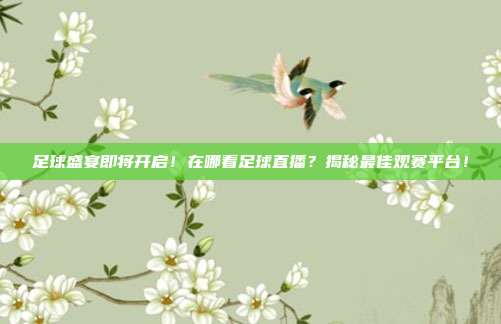 足球盛宴即将开启！在哪看足球直播？揭秘最佳观赛平台！