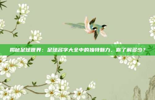 揭秘足球世界：足球名字大全中的独特魅力，你了解多少？
