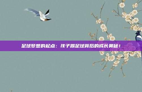 足球梦想的起点：孩子踢足球背后的成长奥秘！