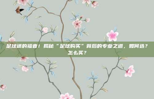 足球迷的福音！揭秘“足球购买”背后的专业之道，如何选？怎么买？