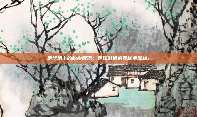 足球场上的秘密武器：足球鞋带的奥秘全解析！