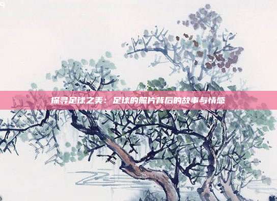 探寻足球之美：足球的照片背后的故事与情感