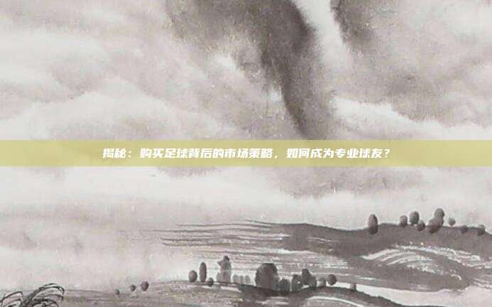 揭秘：购买足球背后的市场策略，如何成为专业球友？