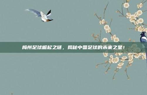 梅州足球崛起之谜，揭秘中国足球的未来之星！