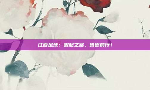 江西足球：崛起之路，砥砺前行！