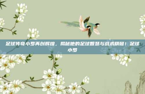 足球传奇小罗再创辉煌，揭秘他的足球智慧与战术精髓！足球小罗