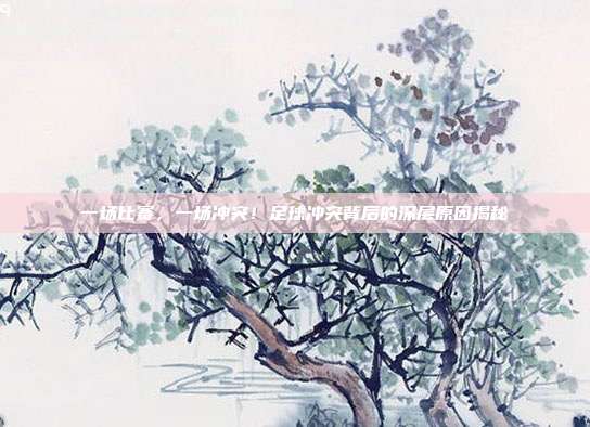 一场比赛，一场冲突！足球冲突背后的深层原因揭秘