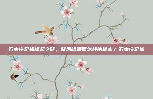 石家庄足球崛起之谜，背后隐藏着怎样的秘密？石家庄足球