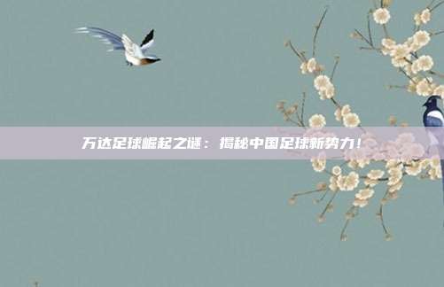 万达足球崛起之谜：揭秘中国足球新势力！