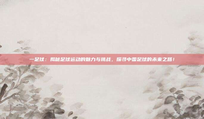 一足球：揭秘足球运动的魅力与挑战，探寻中国足球的未来之路！