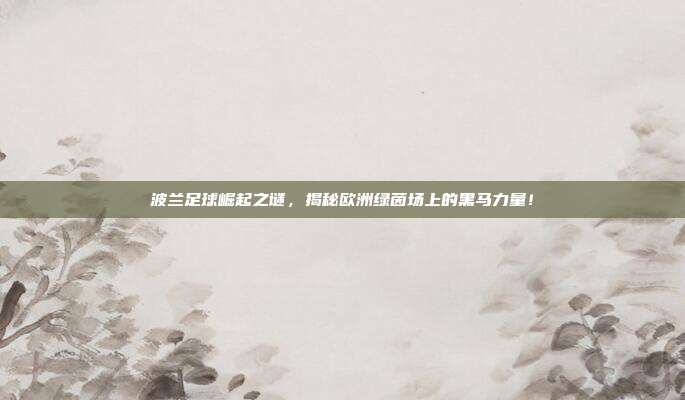 波兰足球崛起之谜，揭秘欧洲绿茵场上的黑马力量！