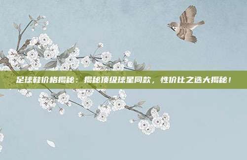 足球鞋价格揭秘：揭秘顶级球星同款，性价比之选大揭秘！