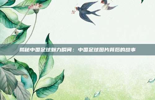 揭秘中国足球魅力瞬间：中国足球图片背后的故事