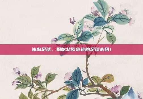 冰岛足球，揭秘北欧奇迹的足球密码！