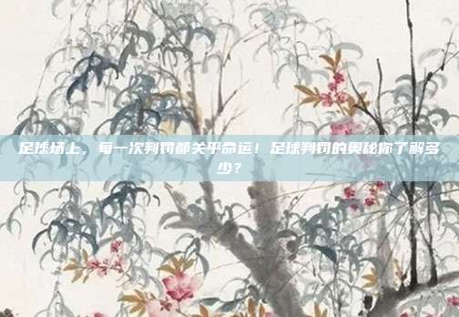 足球场上，每一次判罚都关乎命运！足球判罚的奥秘你了解多少？