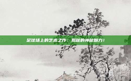 足球场上的艺术之作：揭秘的神秘魅力！