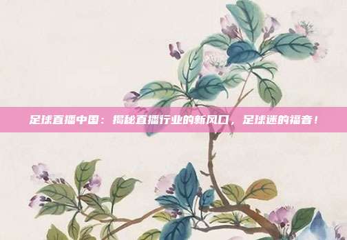 足球直播中国：揭秘直播行业的新风口，足球迷的福音！