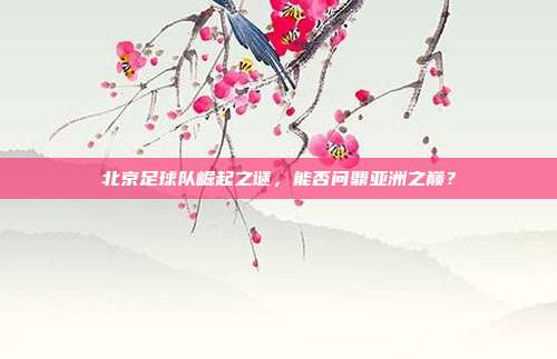 北京足球队崛起之谜，能否问鼎亚洲之巅？