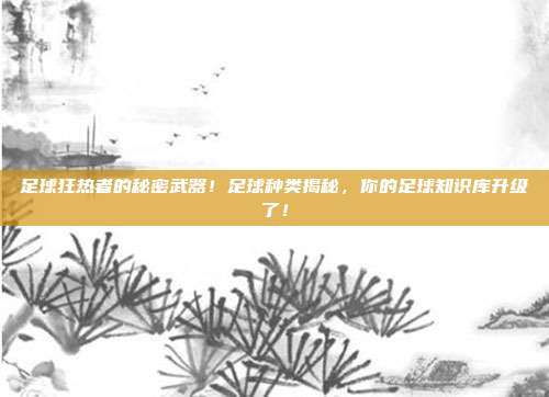 足球狂热者的秘密武器！足球种类揭秘，你的足球知识库升级了！