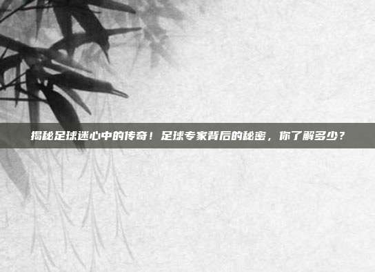 揭秘足球迷心中的传奇！足球专家背后的秘密，你了解多少？