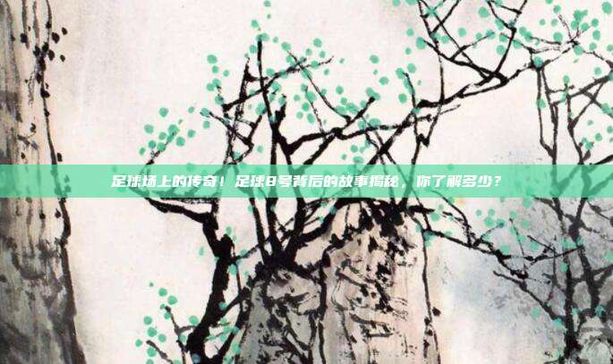 足球场上的传奇！足球8号背后的故事揭秘，你了解多少？