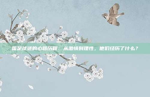 国足球迷的心路历程：从激情到理性，他们经历了什么？