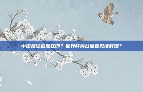 中国足球崛起在即？世界杯舞台能否见证辉煌？