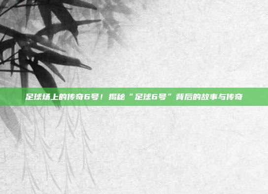 足球场上的传奇6号！揭秘“足球6号”背后的故事与传奇