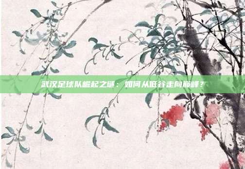 武汉足球队崛起之谜：如何从低谷走向巅峰？