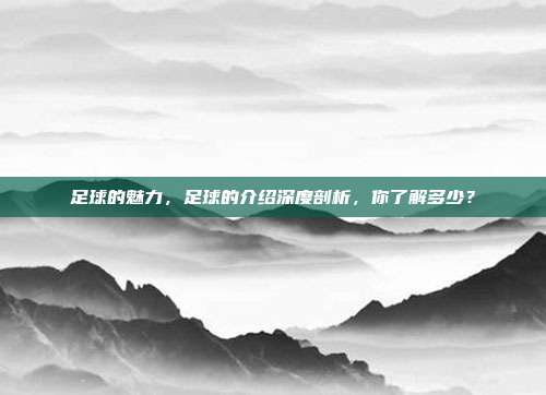 足球的魅力，足球的介绍深度剖析，你了解多少？