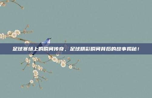 足球赛场上的瞬间传奇，足球精彩瞬间背后的故事揭秘！