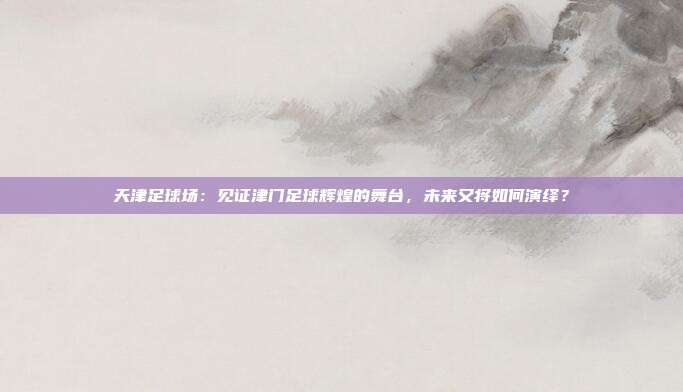 天津足球场：见证津门足球辉煌的舞台，未来又将如何演绎？