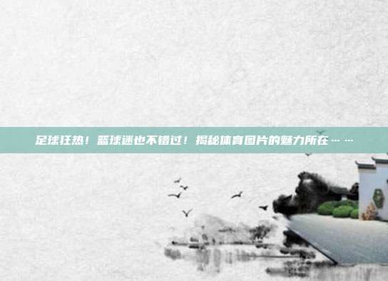 足球狂热！篮球迷也不错过！揭秘体育图片的魅力所在……