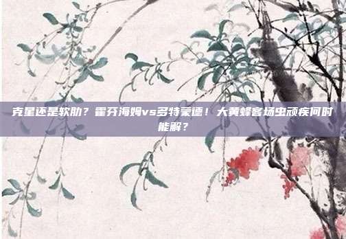克星还是软肋？霍芬海姆vs多特蒙德！大黄蜂客场虫顽疾何时能解？