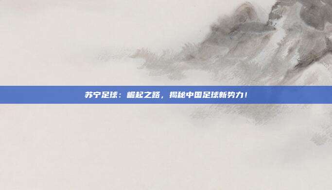 苏宁足球：崛起之路，揭秘中国足球新势力！
