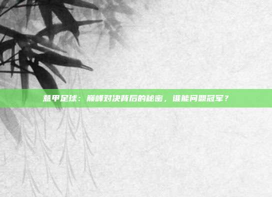 意甲足球：巅峰对决背后的秘密，谁能问鼎冠军？