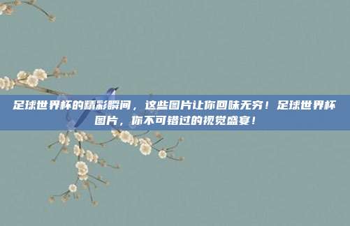 足球世界杯的精彩瞬间，这些图片让你回味无穷！足球世界杯图片，你不可错过的视觉盛宴！