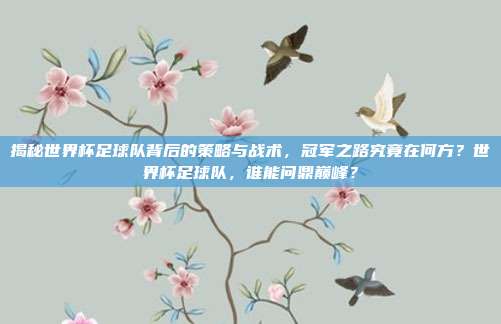 揭秘世界杯足球队背后的策略与战术，冠军之路究竟在何方？世界杯足球队，谁能问鼎巅峰？