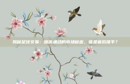 揭秘足球交易：暗流涌动的市场秘密，谁是幕后推手？