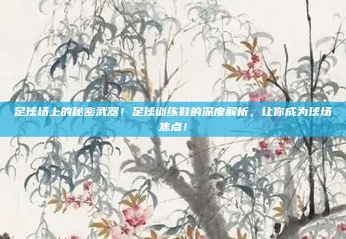 足球场上的秘密武器！足球训练鞋的深度解析，让你成为球场焦点！