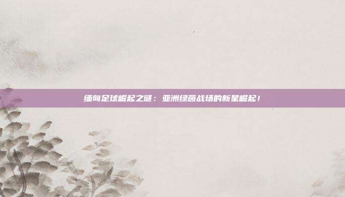 缅甸足球崛起之谜：亚洲绿茵战场的新星崛起！