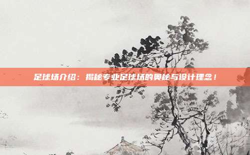 足球场介绍：揭秘专业足球场的奥秘与设计理念！