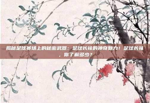揭秘足球赛场上的秘密武器：足球长袜的神奇魅力！足球长袜，你了解多少？