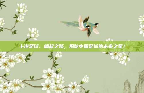 上港足球：崛起之路，揭秘中国足球的未来之星！
