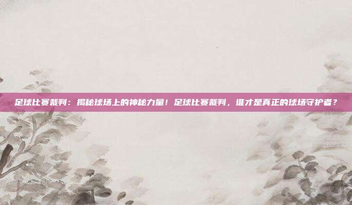 足球比赛裁判：揭秘球场上的神秘力量！足球比赛裁判，谁才是真正的球场守护者？