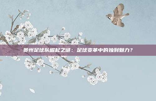 贵州足球队崛起之谜：足球变革中的独到魅力？