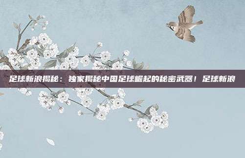 足球新浪揭秘：独家揭秘中国足球崛起的秘密武器！足球新浪