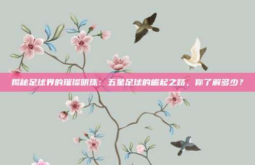 揭秘足球界的璀璨明珠：五星足球的崛起之路，你了解多少？