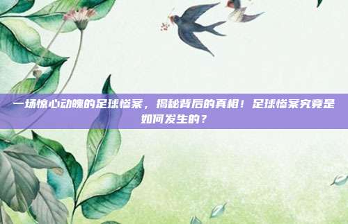 一场惊心动魄的足球惨案，揭秘背后的真相！足球惨案究竟是如何发生的？